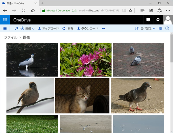 「OneDrive」の「画像」フォルダー